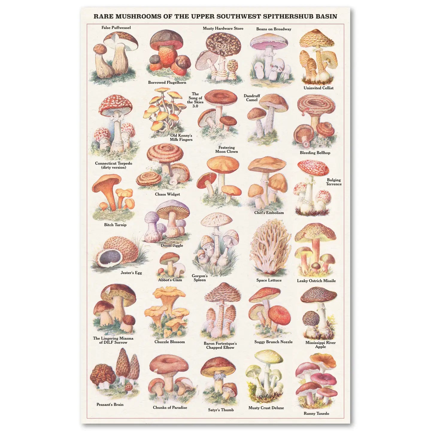 "Rare Mushrooms" Risograph Poster