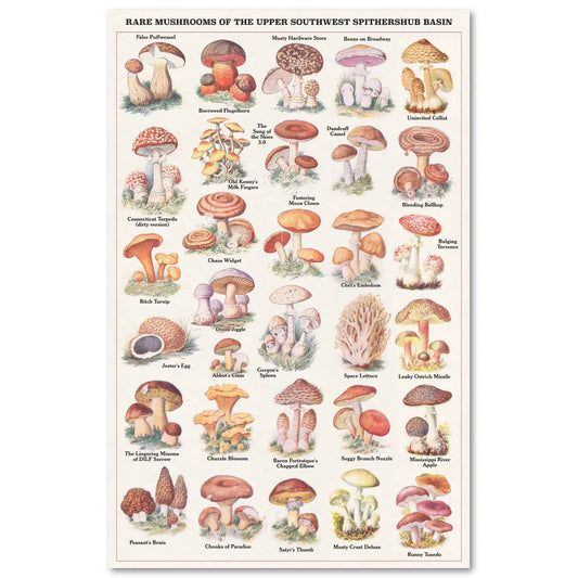 "Rare Mushrooms" Risograph Poster