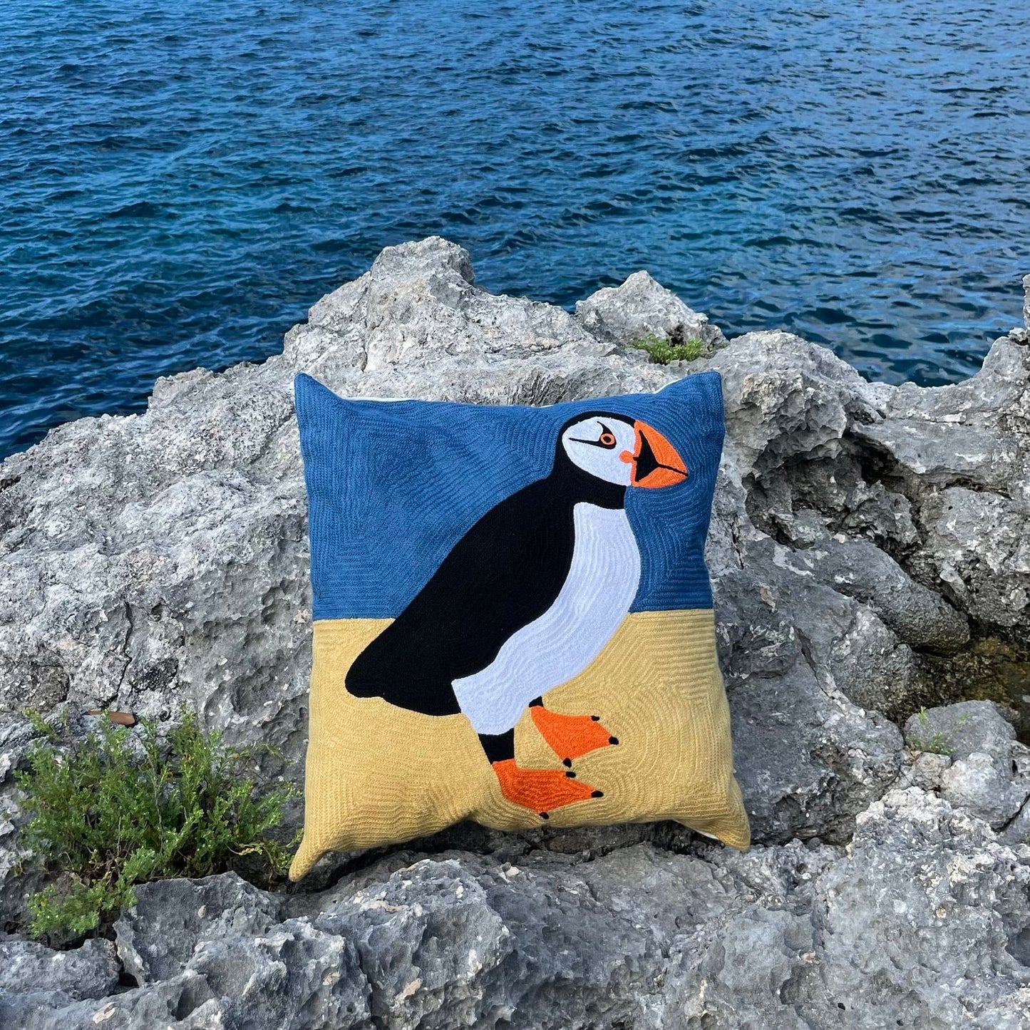 Puffin At The Beach Cushion Cover