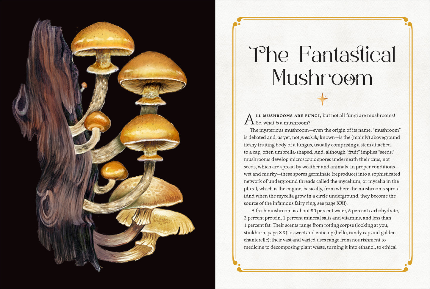 Mystical Mushrooms