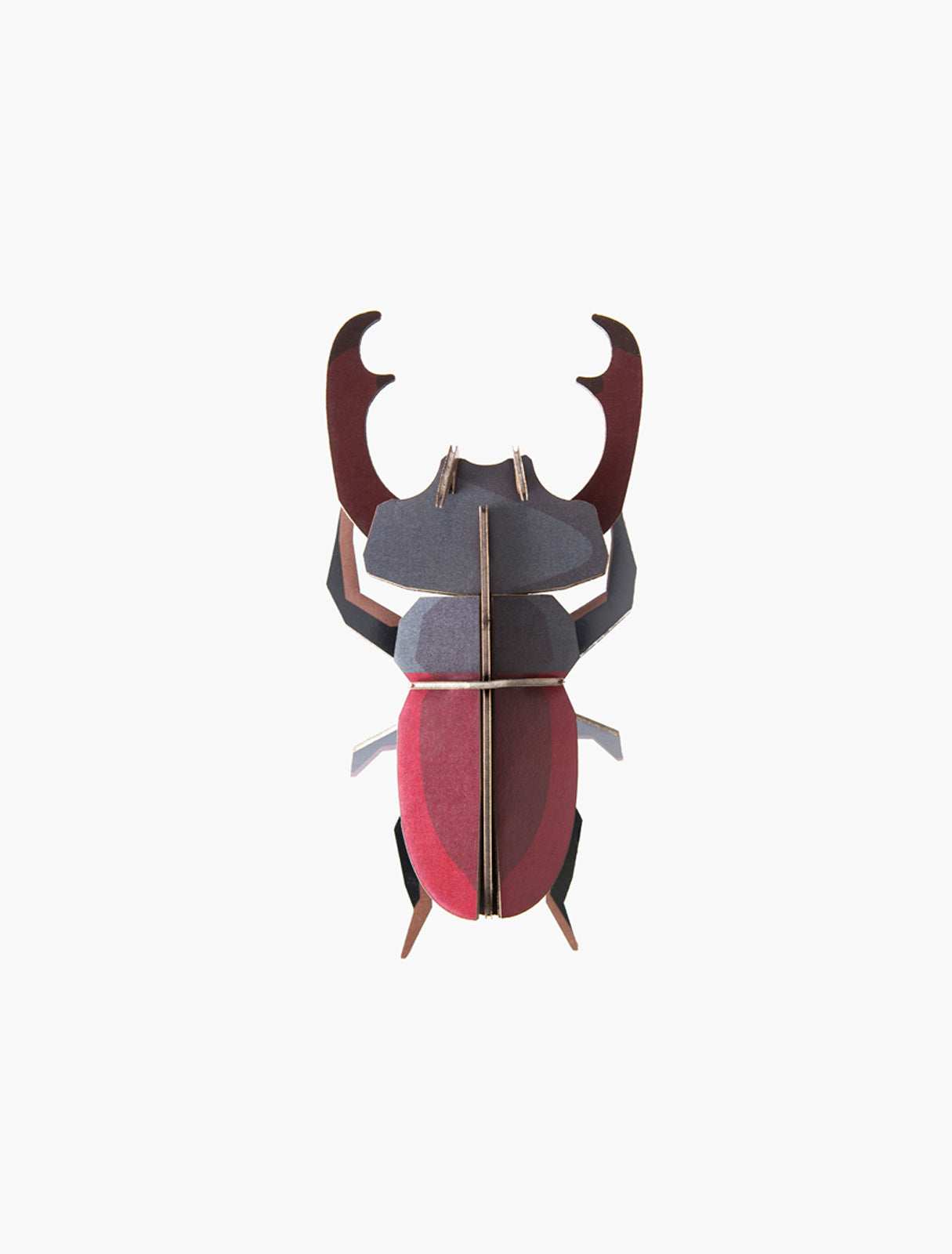 Studio ROOF Insects - Stag Beetle